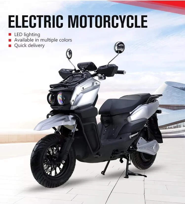 E Bike Motorcycle for Adult06 E Bike Motorcycle for Adult06