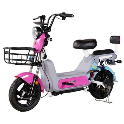 New Model Electric Bike With 1000W Brushless Motor
